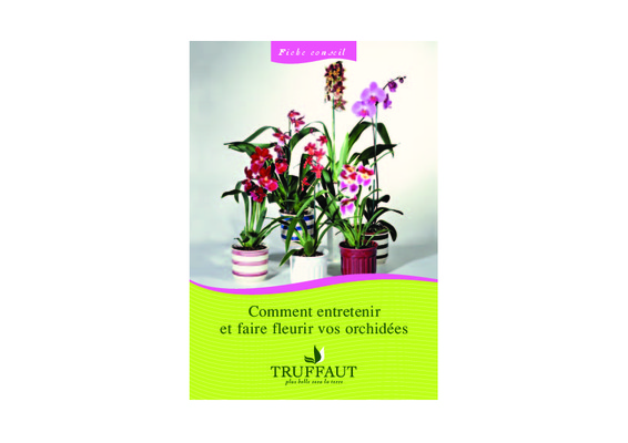 quand doit on faire entretenir un poste ht bt Book