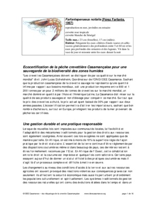 la crise casamancaise Book