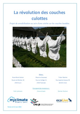 sans culottes Book
