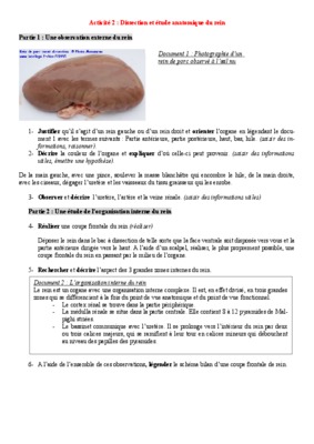 dissection du rein Book