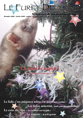 peut on mettre un troisieme furet Book