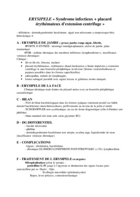 erysipele Book