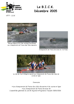 el paradigma julie bick Book