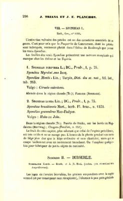 spondias Book
