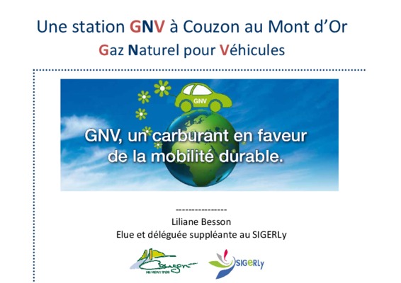 couzon au mont d Book