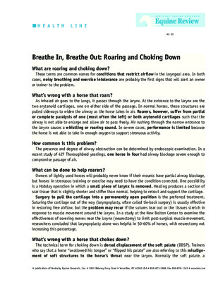 breathe Book