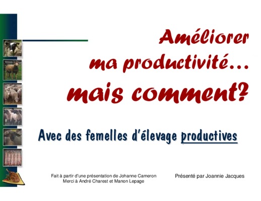 prolifique Book