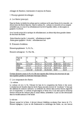 fusion fonderie Book