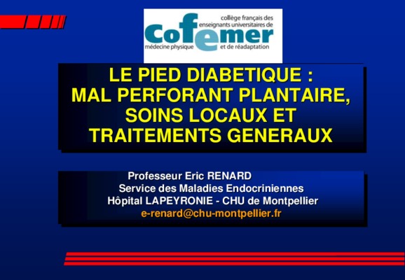 physiopathologie du pied diabetique Book