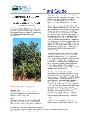 tallow Book