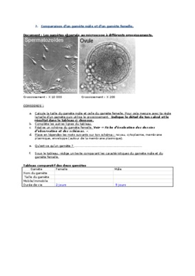 gamete femel regulation hormonale steroidienne Book