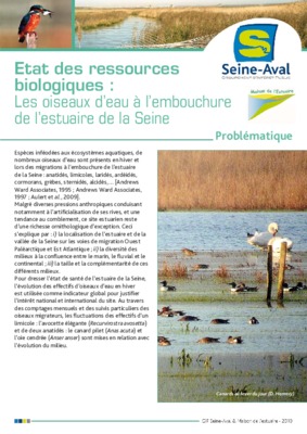 estuaire maroc Book