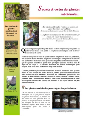 les secrets et les vertus des psaumes Book