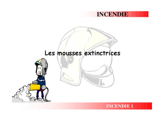 mousses extinctrices Book