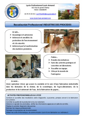 baccalaureat professionnel industrie de procedes session 2003 Book