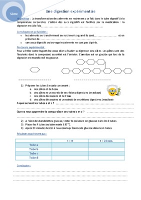 svt 5 digestion experimentale reaumur Book