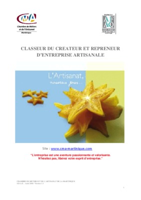 repreneur Book