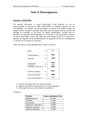 serie 12 nathalie younan Book