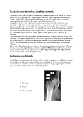 dysplasie pathogenie Book