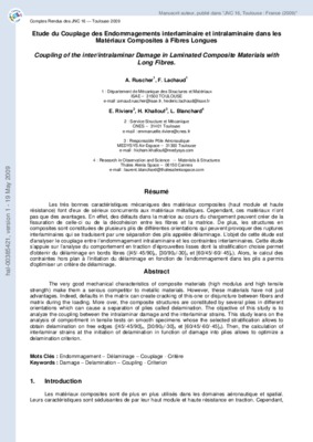 endommagements Book