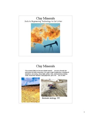 introduction to clay minerals chemistry origins uses and environmental significance Book
