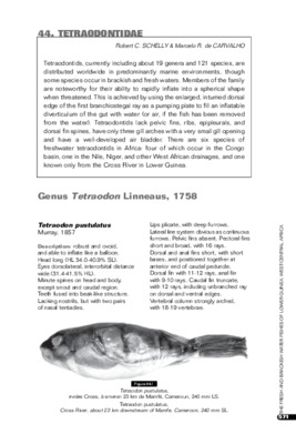 tetraodontidae Book