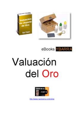 raul ybarra Book