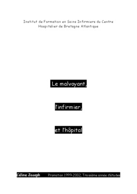 malvoyant Book