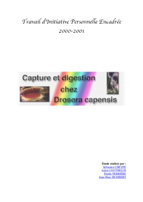 cheype Book