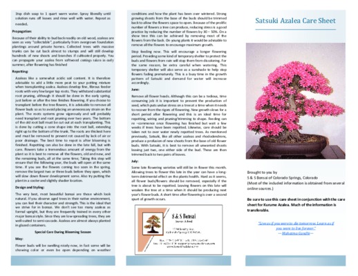 satsuki Book