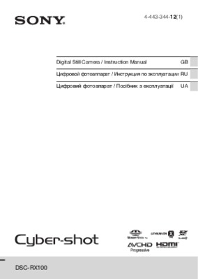 rx100 32 Book