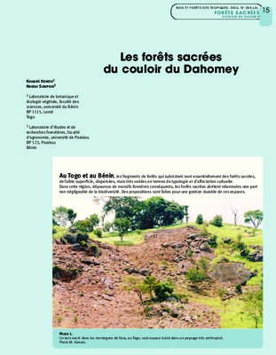 energies sacrees Book