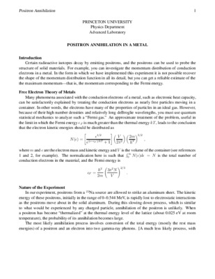piloto positron Book