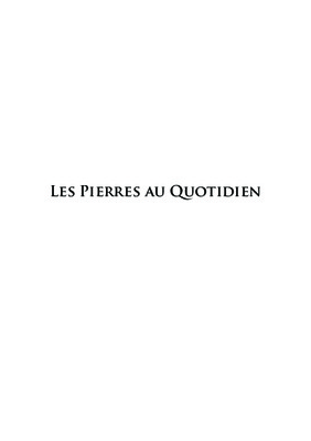 les pierres au quotidien Book