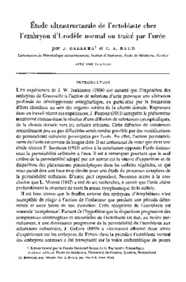 urodele Book