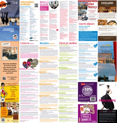 organisatio de la fdv Book