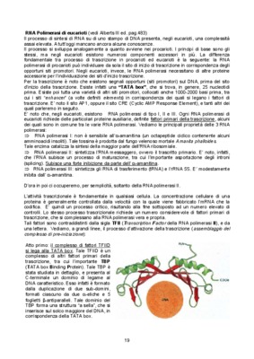 eucarioti Book
