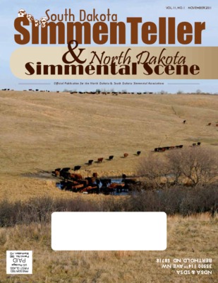 dakota servico Book
