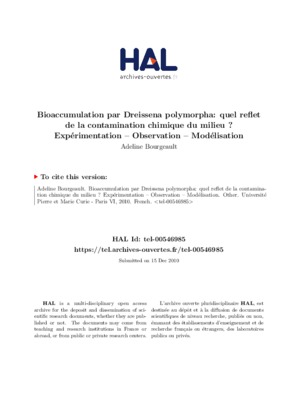 polymorpha Book