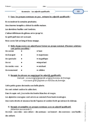 exercices groupes nominaux Book