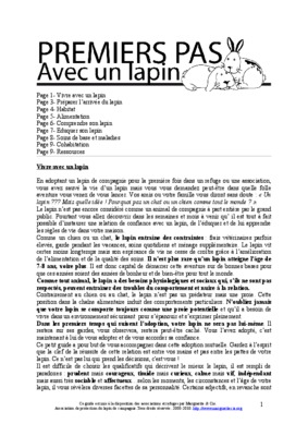 recttes avec lapin Book