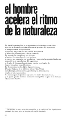 no acelera Book