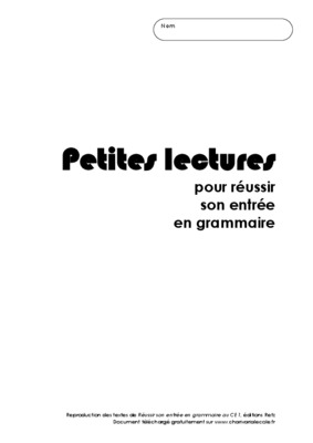 fiche de preparation reussir son entree en grammaire ce1 Book