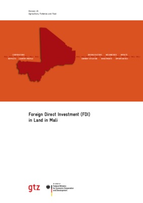 foreign direct investment literature review Book
