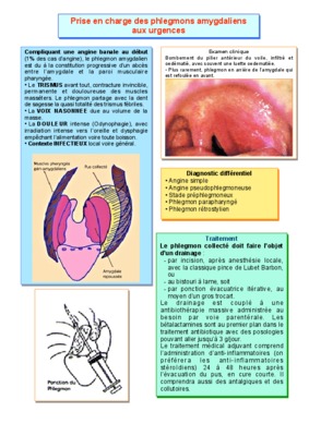 protocoles urgences Book