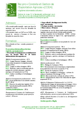 corige bac pro cgea Book