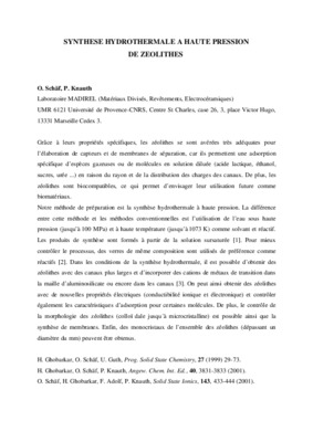 synthaise hydrothermale Book
