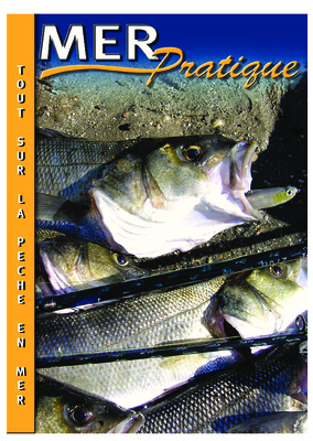 peche a la mouche magasine Book