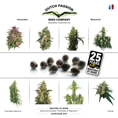 cervantes cannabis Book