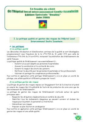 gestion des risques hopital Book